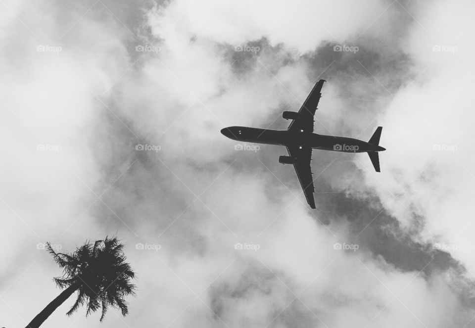 Airplane, Aircraft, Military, Flight, Aviate