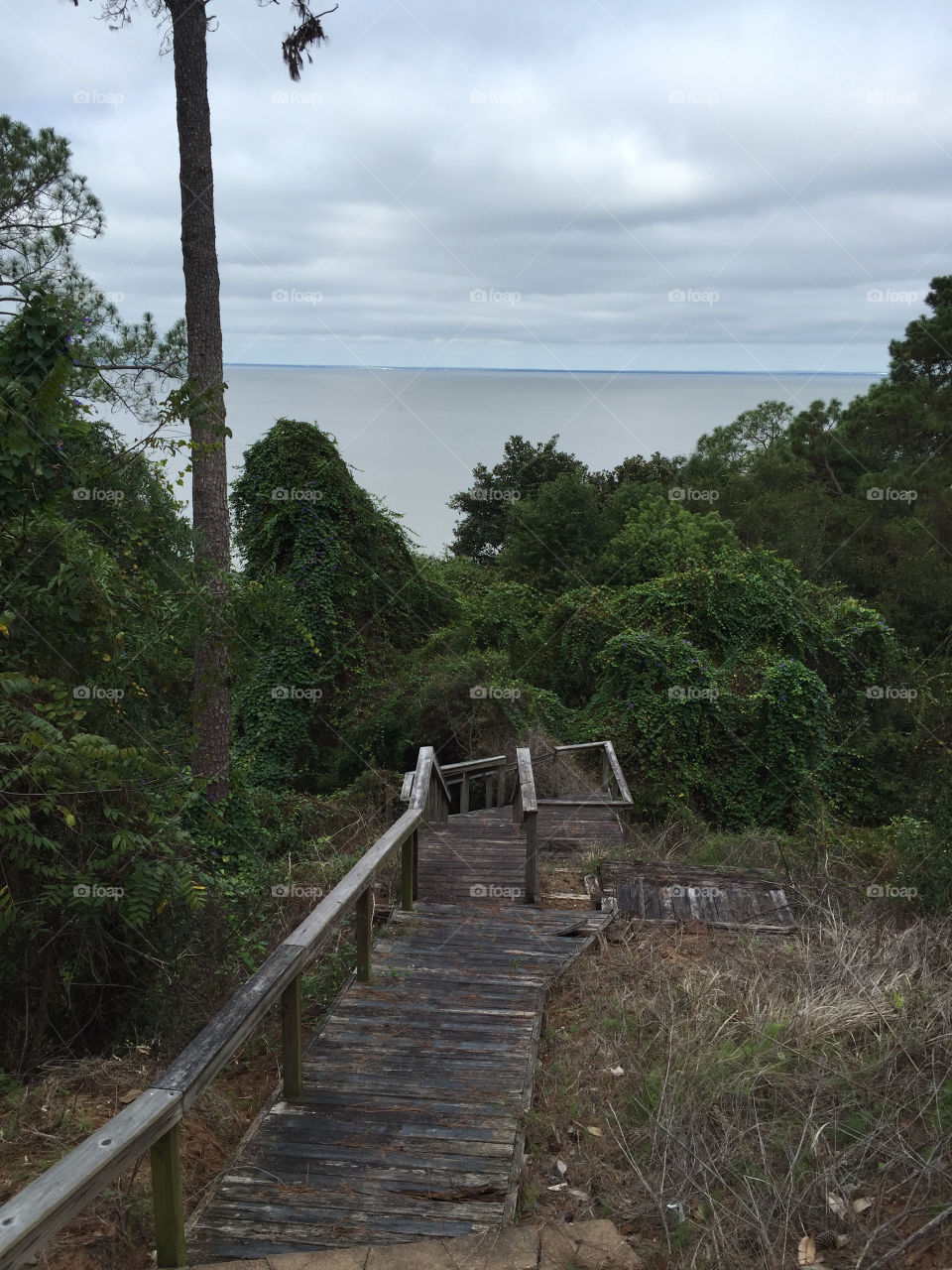 Bridge going down to the bay Fairhope Alabama