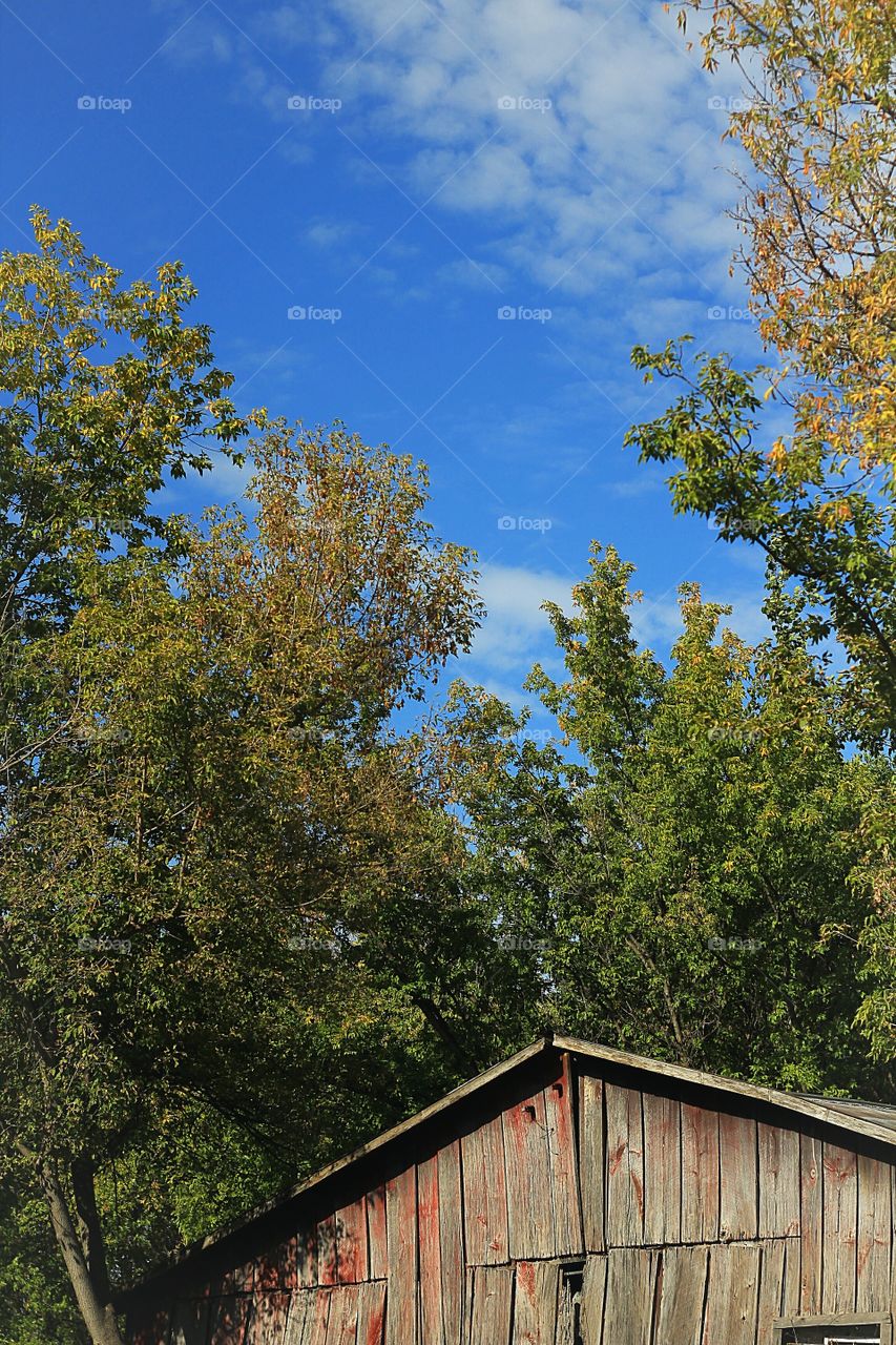 old barn on a beautiful fall day