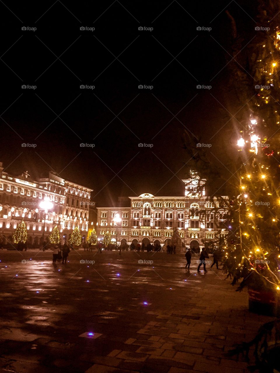 It's the most wonderful time of the year 