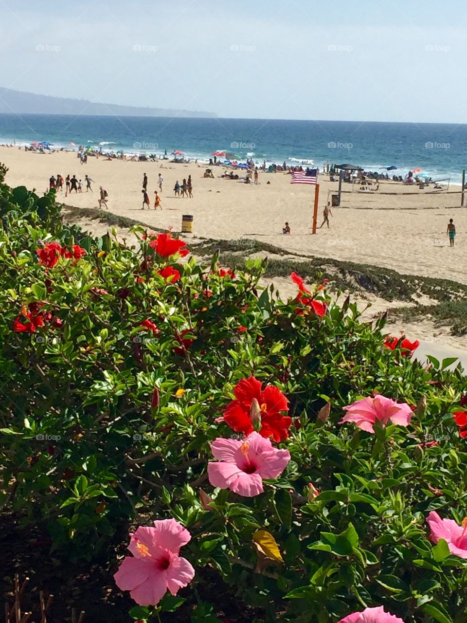 The Strand 1 - Manhattan Beach 