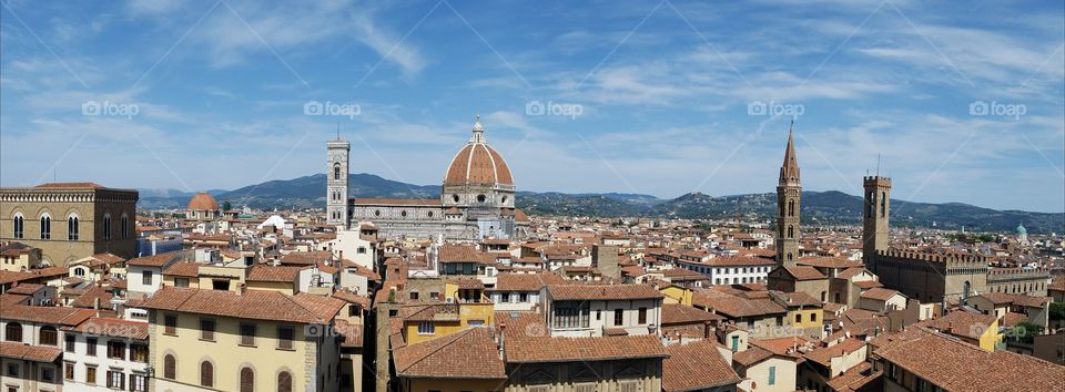 Florence Italy Skyline