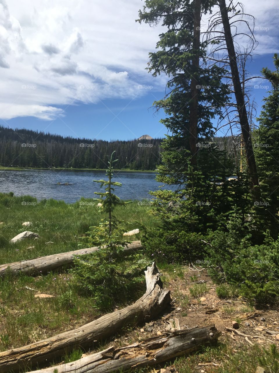 Up in the High Uinta mountains 
