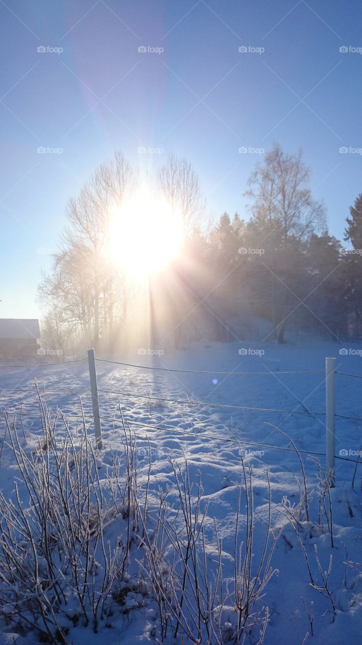 Sunrays on beautiful winterday 