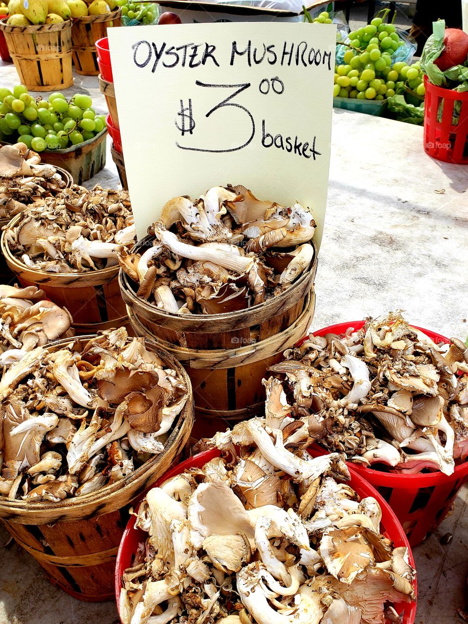 Baskets of oyster mushrooms at a farmers market