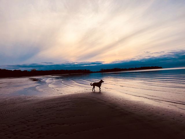 Memories of summer sunsets 