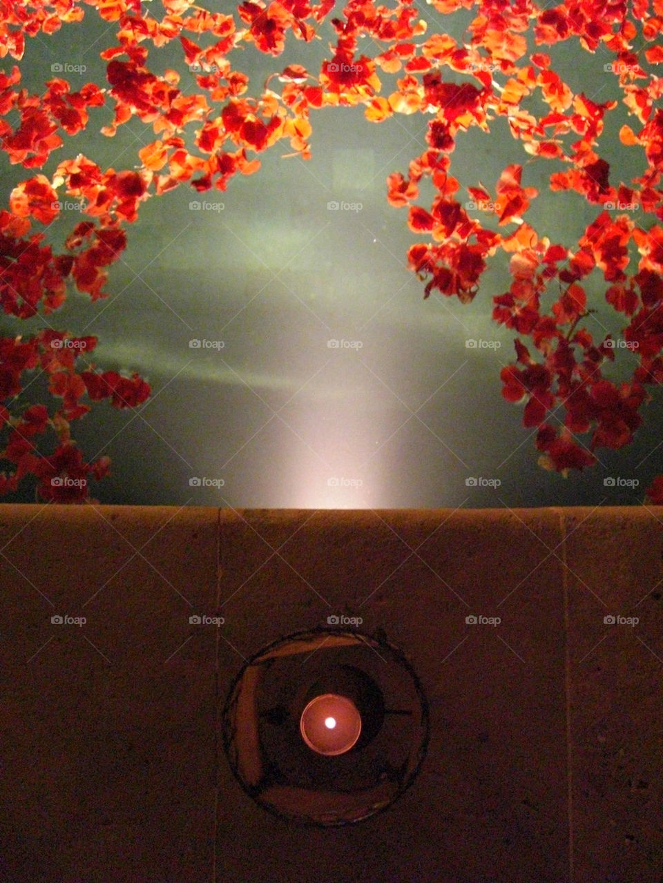 light flower travel shadow by thepapierdollies