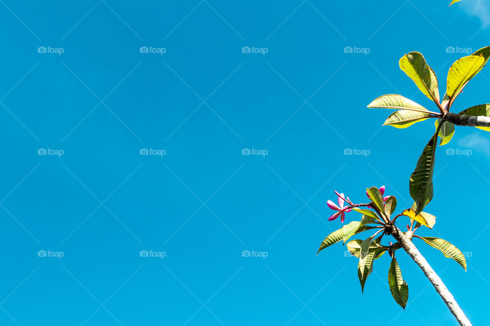 Sky background. Bali island, Indonesia.