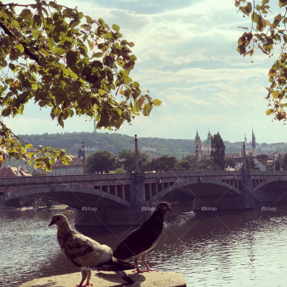 Prague 