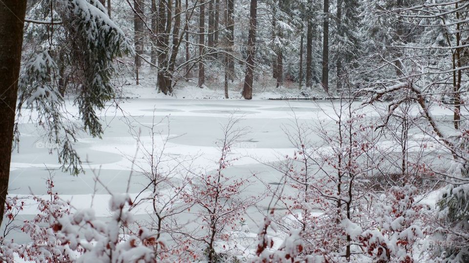 frozen lake