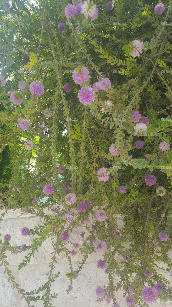 don't tell me it's not a beautiful one