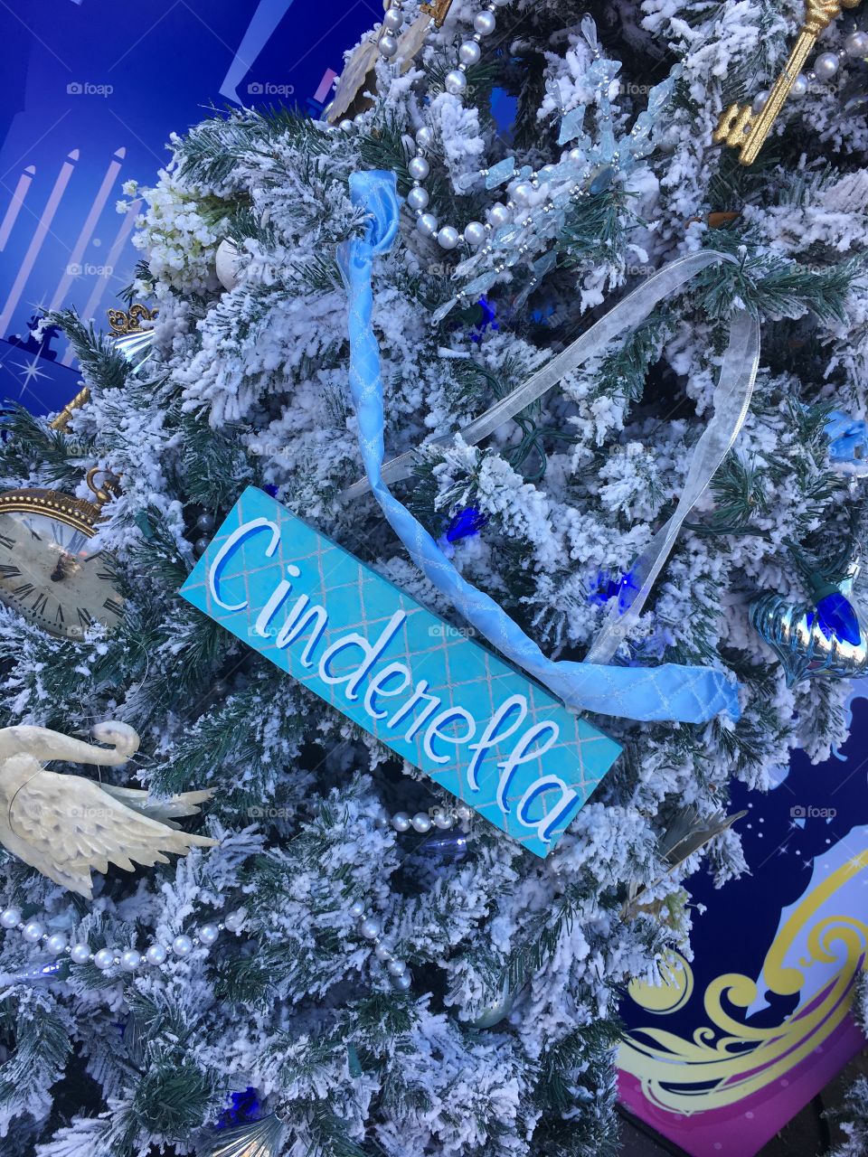 Cinderella tree