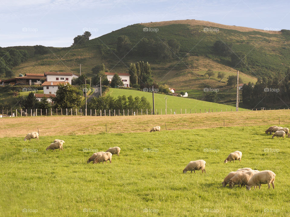 Pays basque 