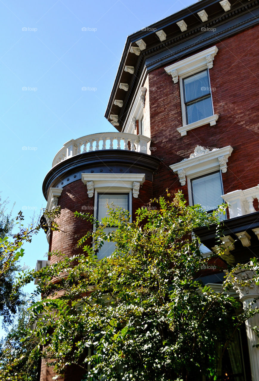 charleston south carolina tree architecture home by refocusphoto