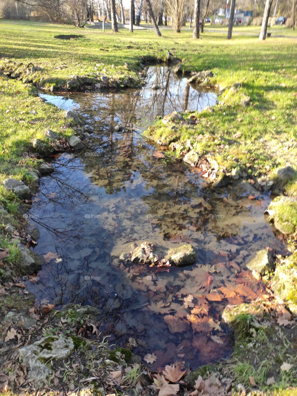 Belgrade Serbia Topcider park mini pool