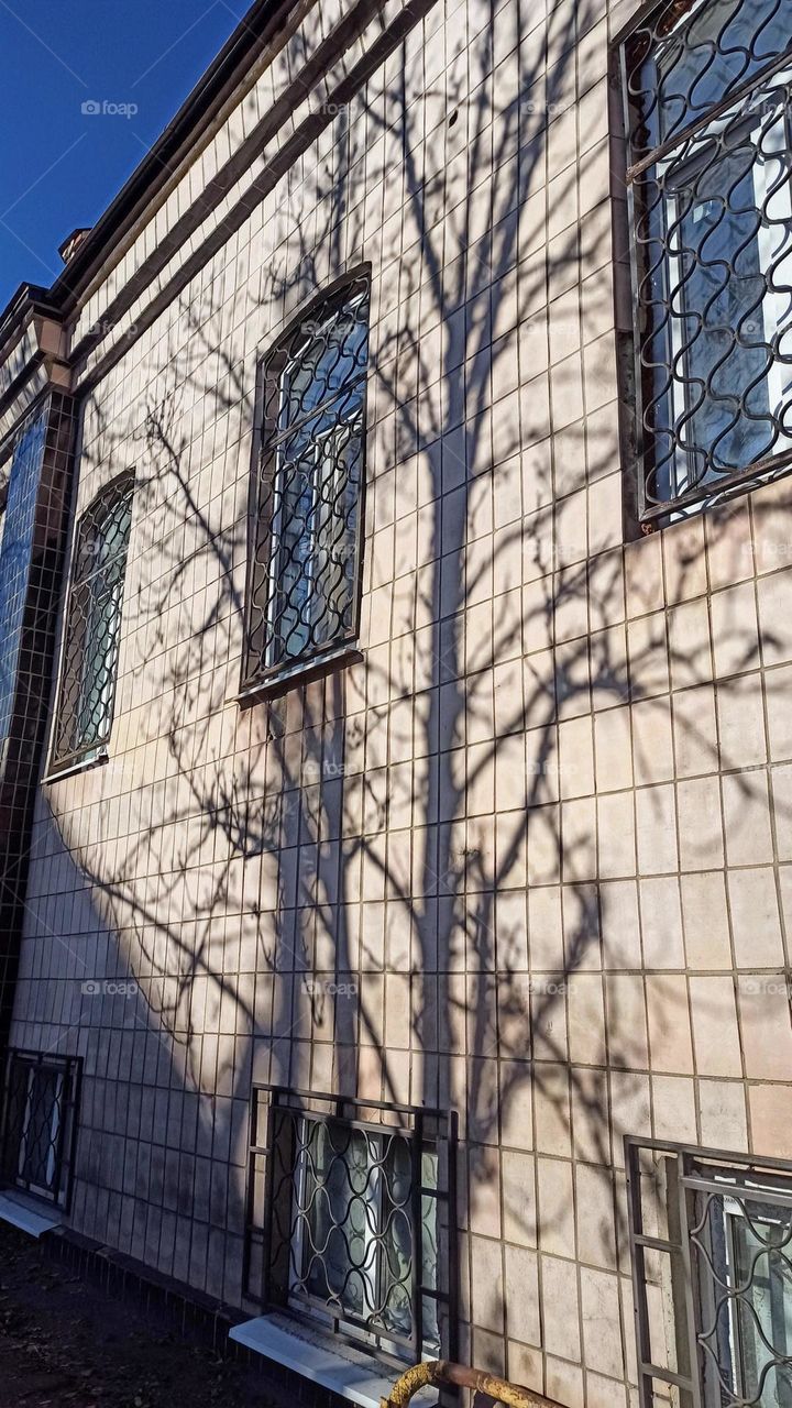Tree shadows on the old building