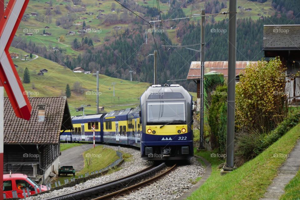 Train#nature#trip