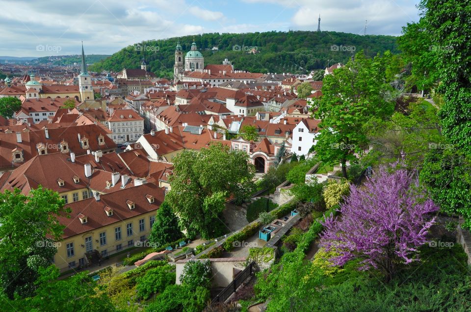 Pragnie city from above 