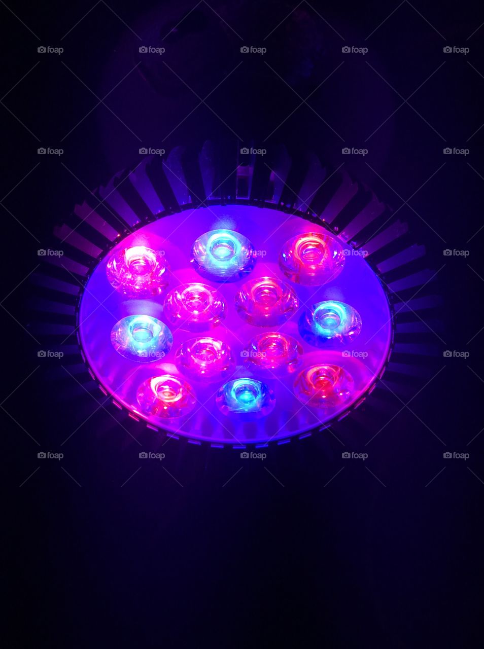 Purple Story - LED Grow Light - Aquaponics 