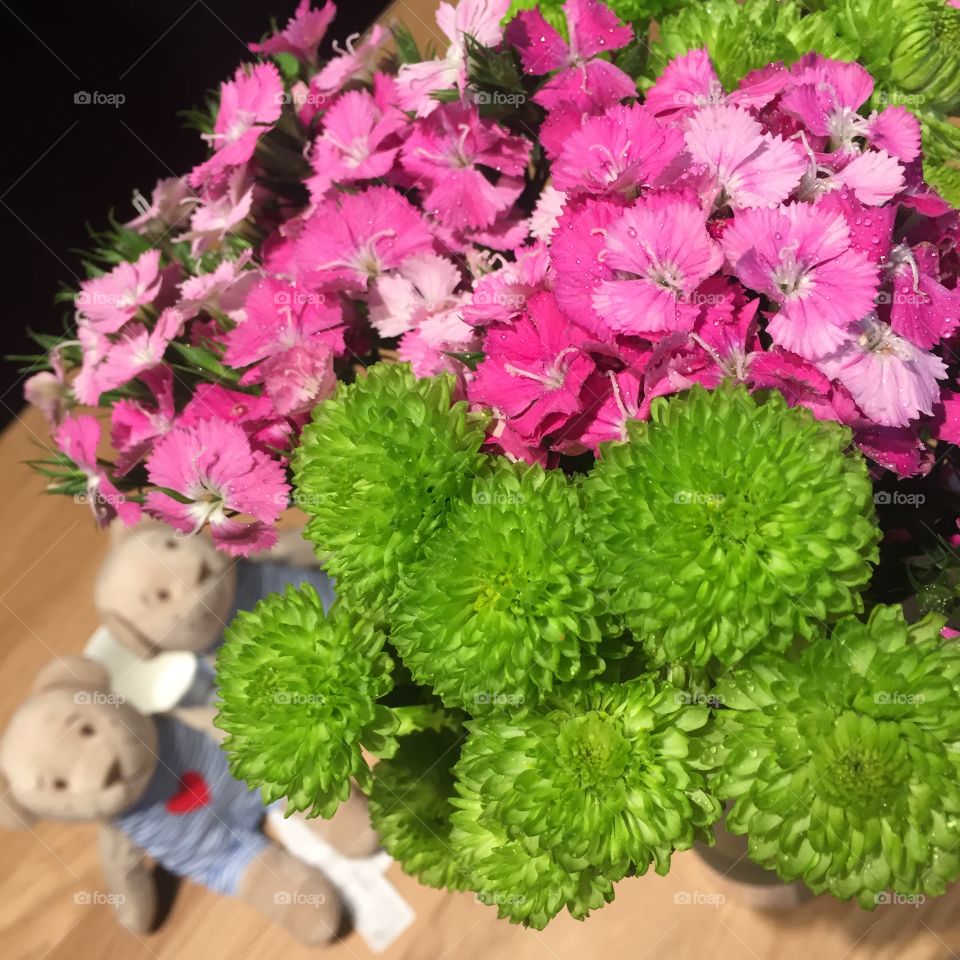 Flowers and Bears