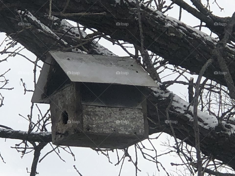 Bird house with some snow