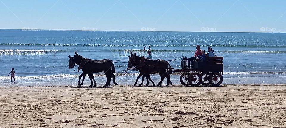 playa caballos