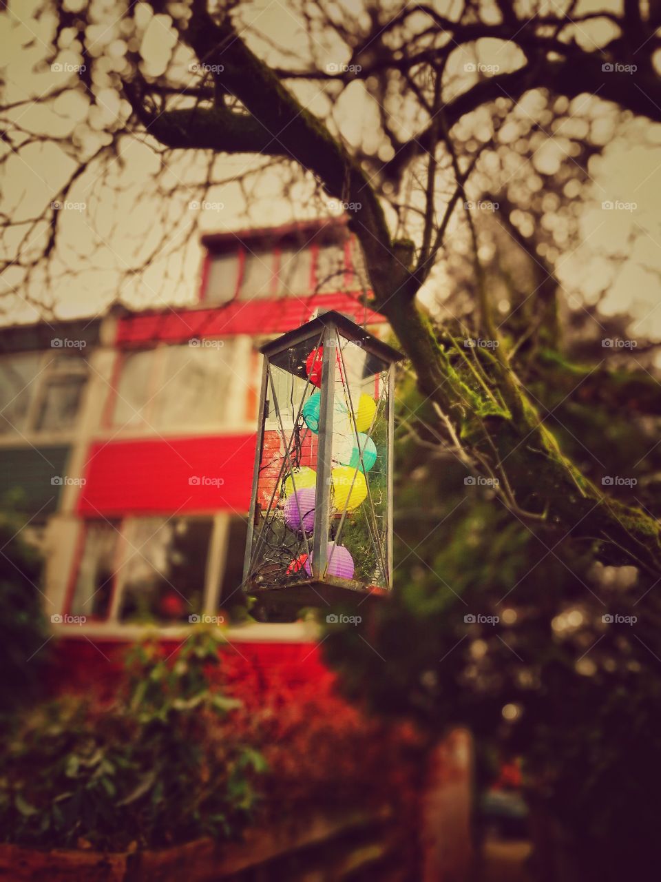 lantern and house