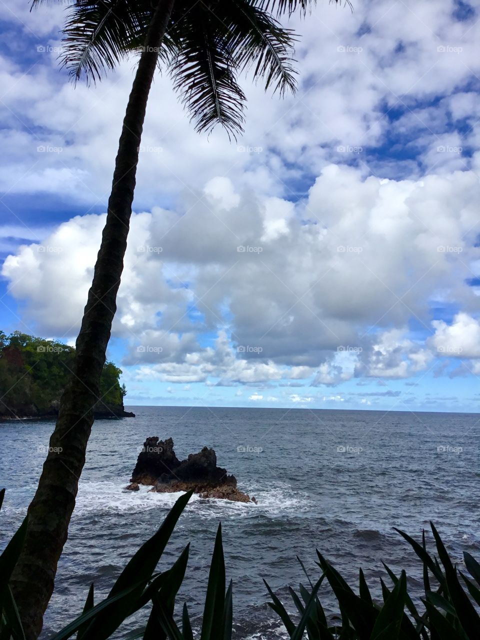 Ocean view at Hawaii Tropical Botanical Garden