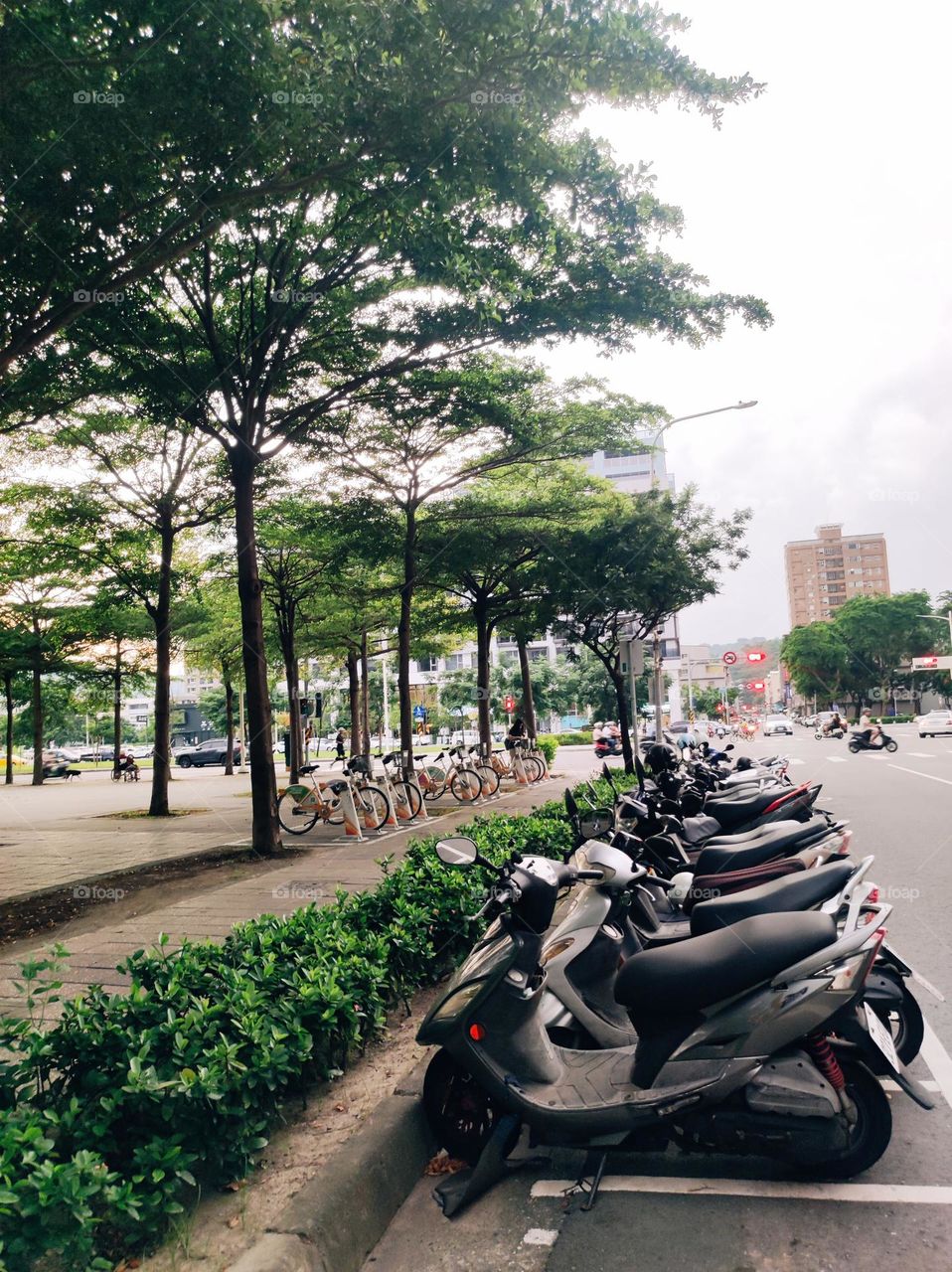 Motorcycle and scooter