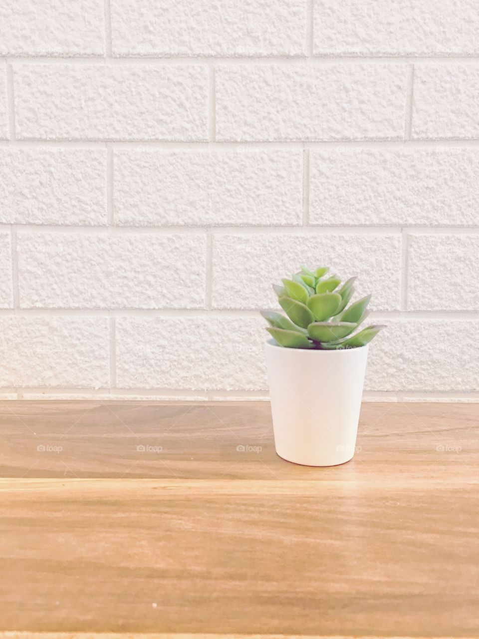 Flowerpot on the table with smooth&soft light