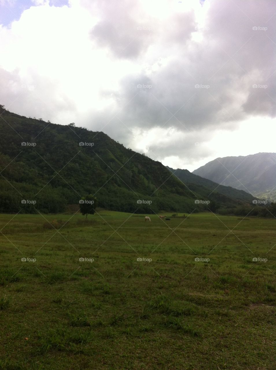Landscape, Mountain, No Person, Hill, Travel