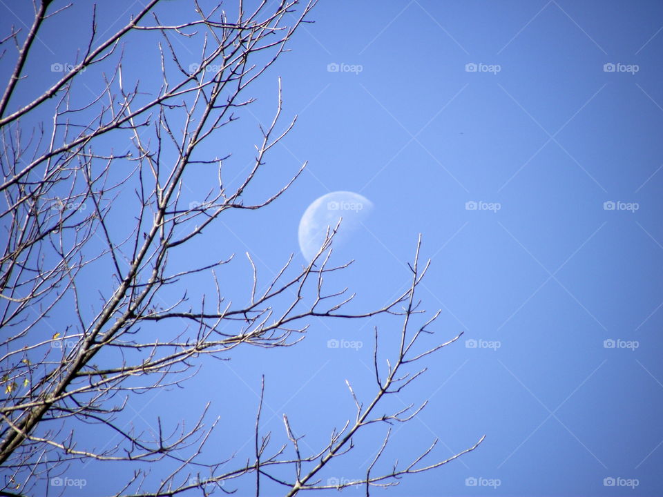 midday moon