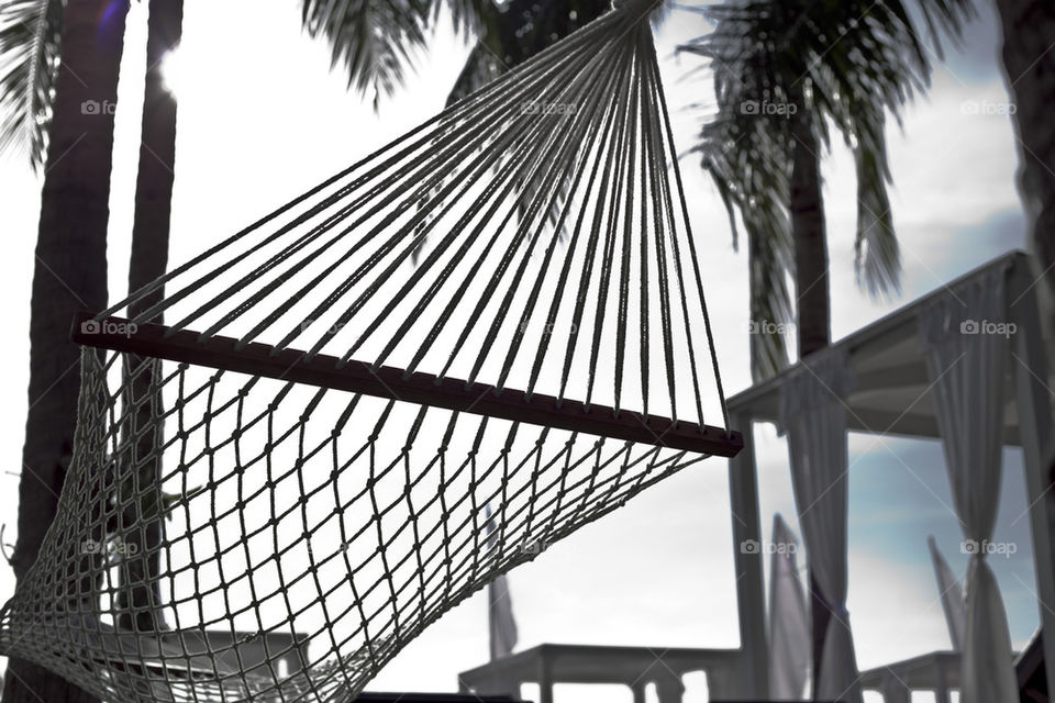 white hammock relaxing under palm trees