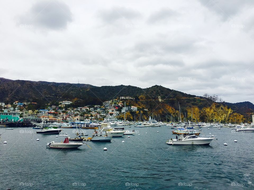 Catalina Islands Boats 