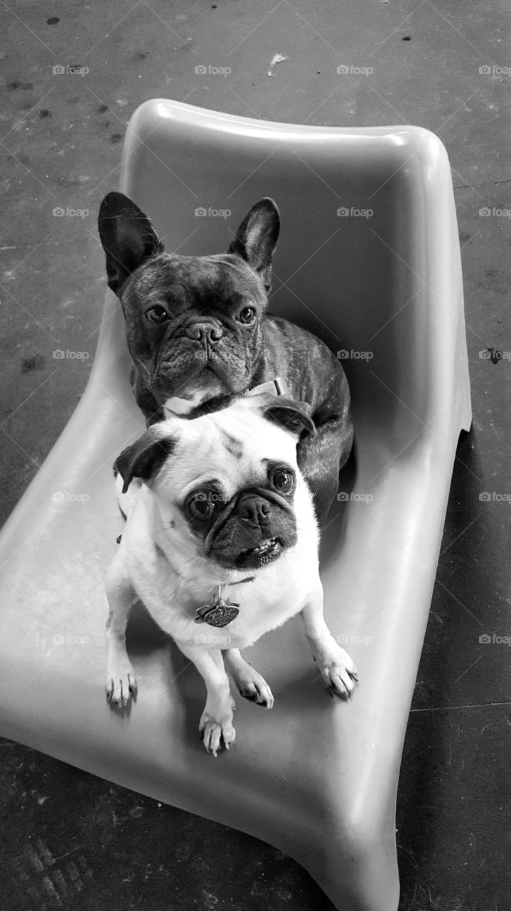 Try to keep a straight face