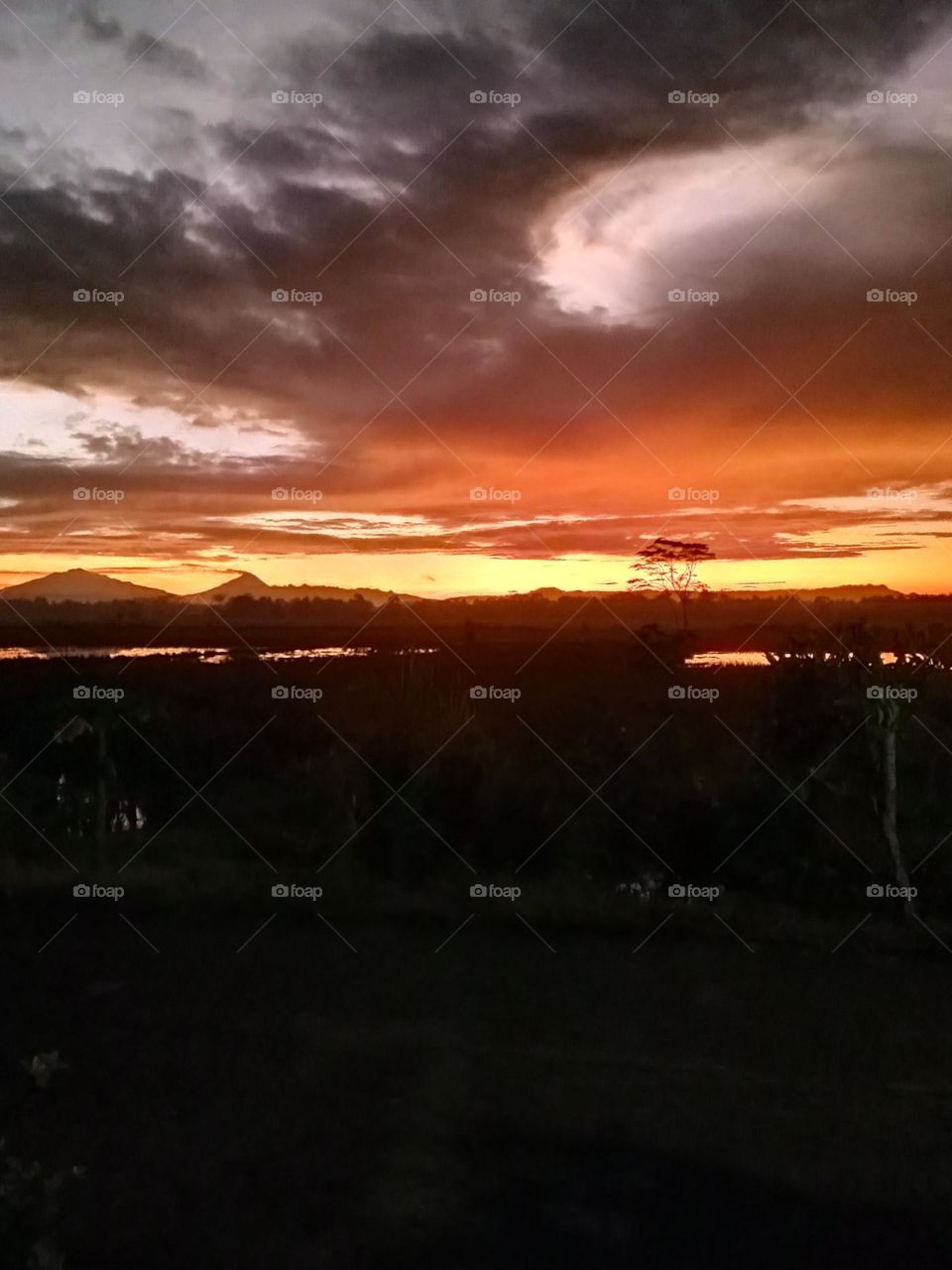 Scenary in the morning