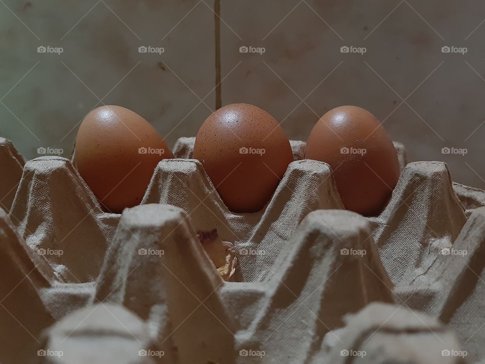 Three fresh chicken eggs placed in a cardboard tray. These consists of high animal protein.