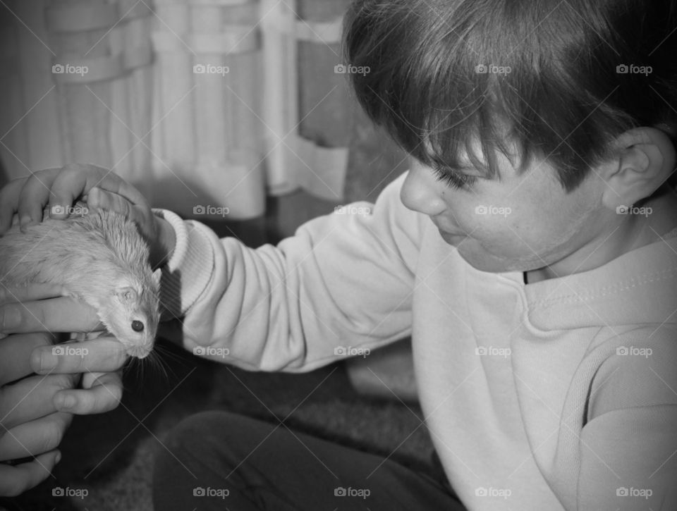 boy stroking a mouse