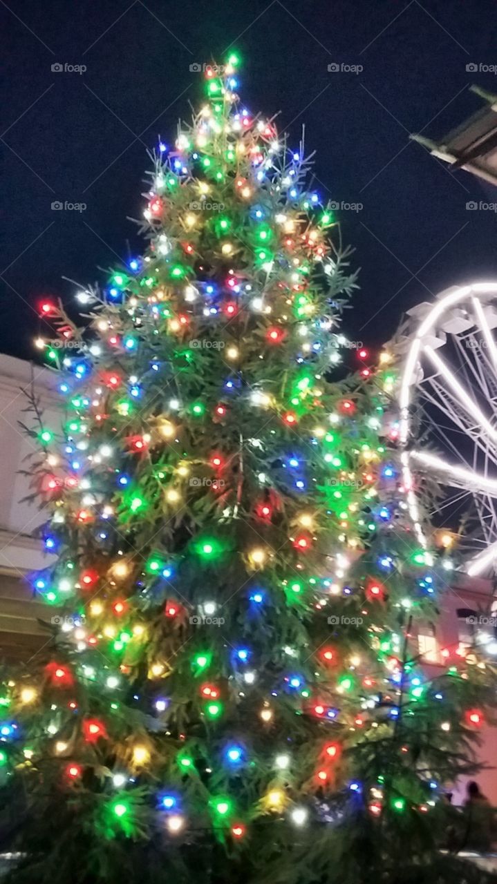 Large Christmas Tree