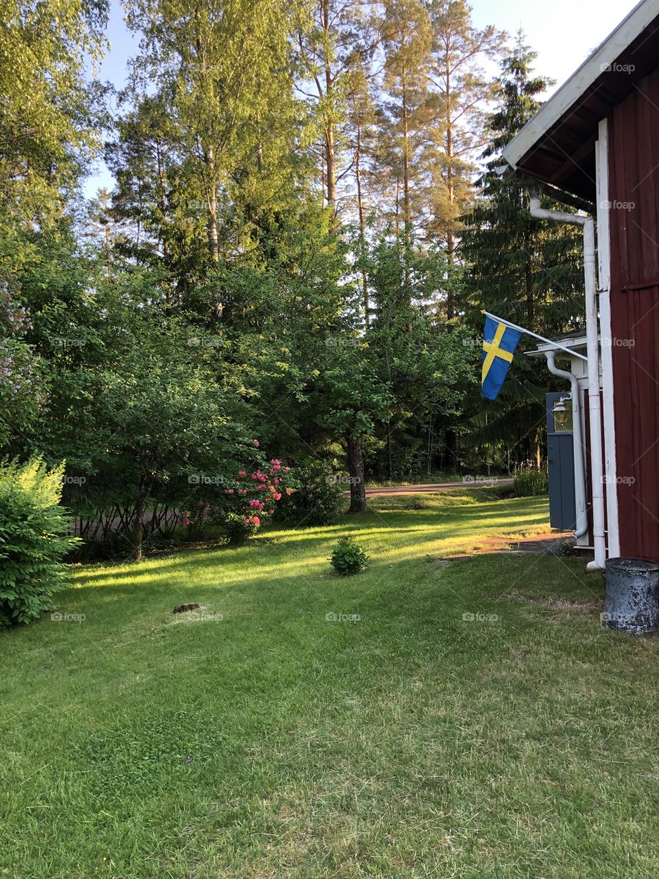 Swedish summer