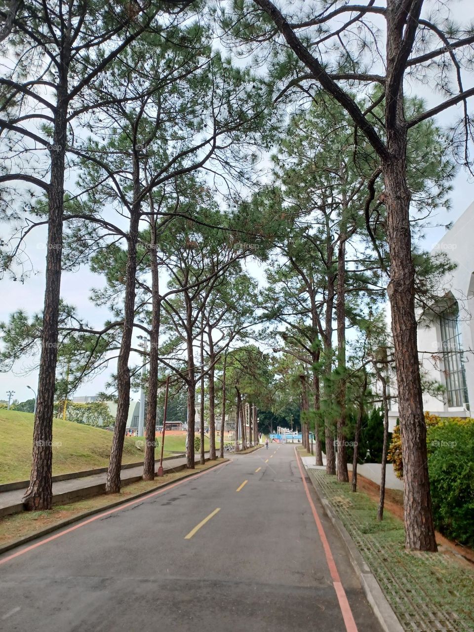 This is spring in Taiwan 5.