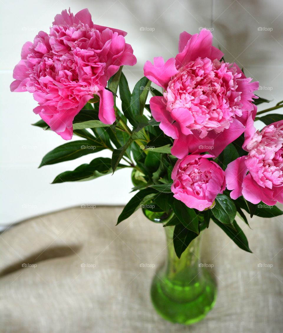 Flower, Nature, Bouquet, Flora, Peony