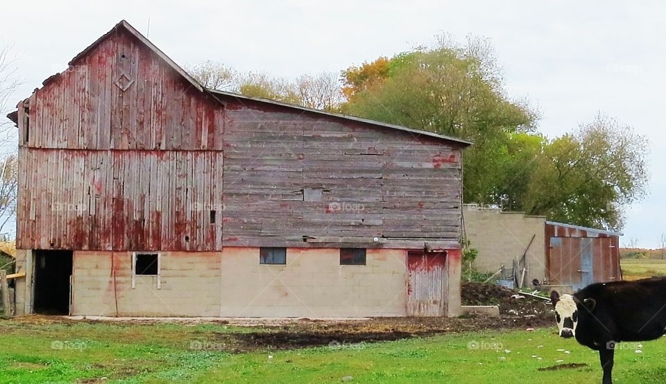 Old working Farm