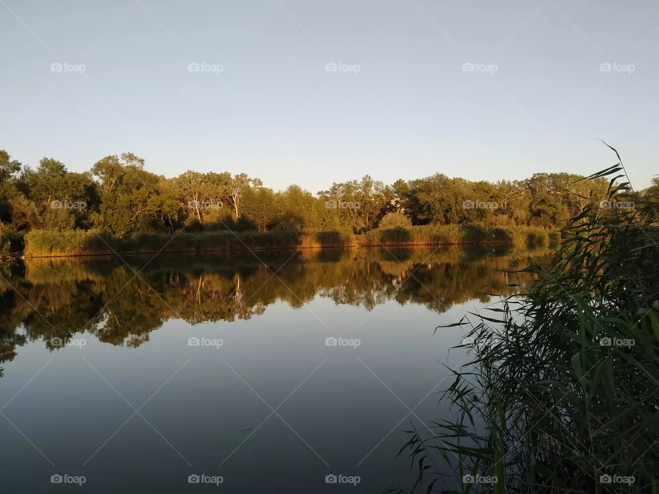 Nature