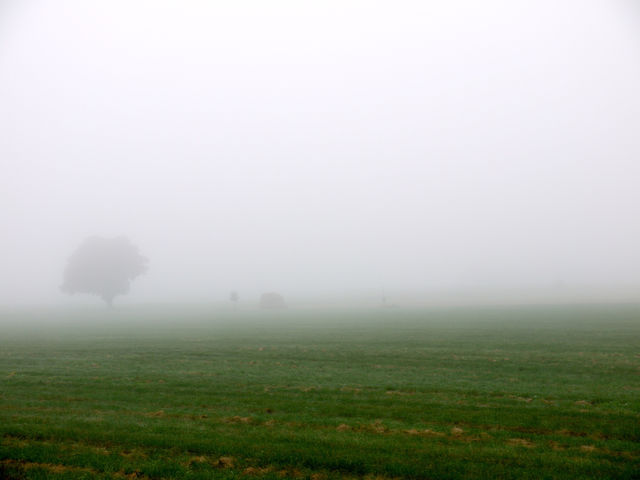 landscape field fall autumn by ylvafloreman