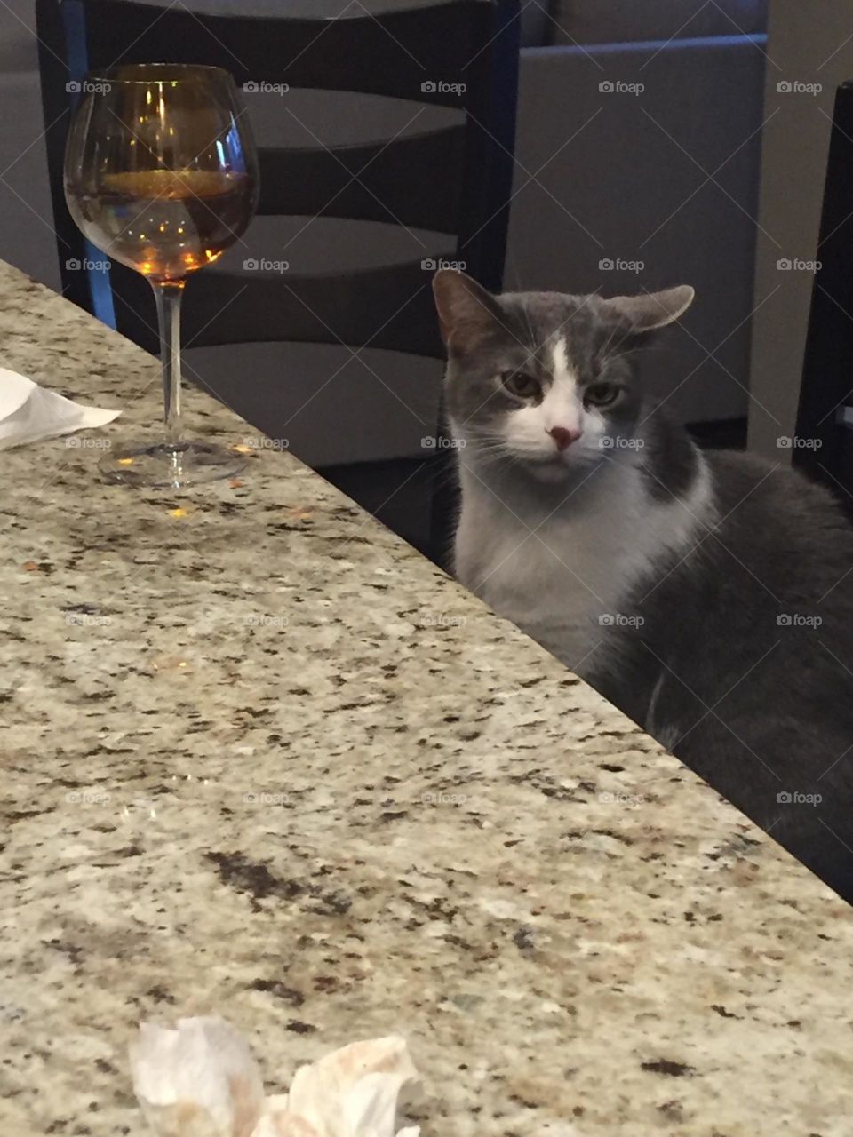 sad looking cat next to a glass of wine set on a granite countertop. the cat has a drinking problem.