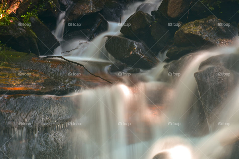 amicolola State park