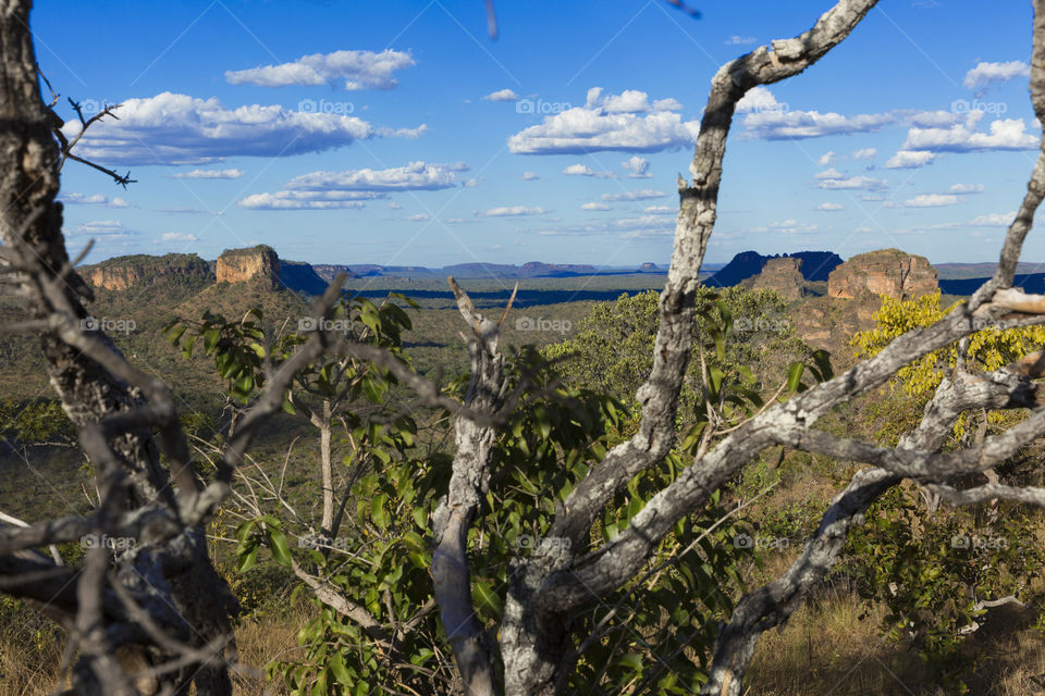 Nature, Tree, Landscape, Sky, Travel