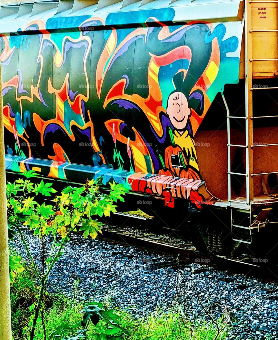 Beautiful painting on a railroad car.