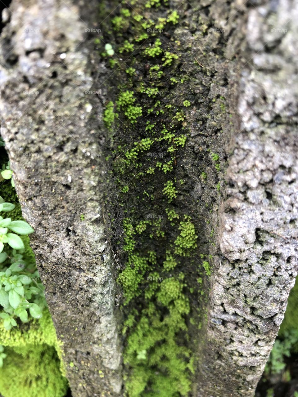 The signs of the nature, Countryside ( Thailand)